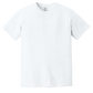 Comfort Colors - Ring Spun Heavyweight Short Sleeve Tee (Brochure)